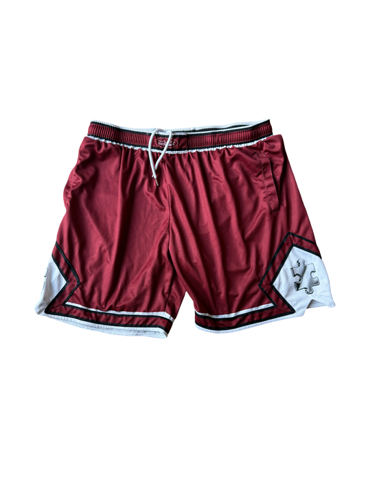 JIGSAW SHORTS